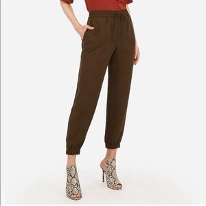 Express  Jogger Pants